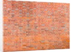 Brickwall by Assaf Frank